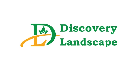 Discovery Landscape logo